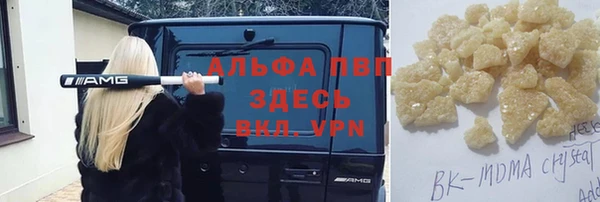 стафф Алексин