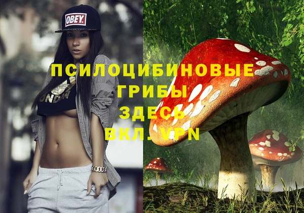 стафф Алексин