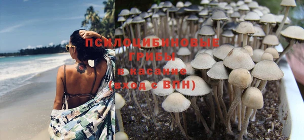 герыч Алзамай