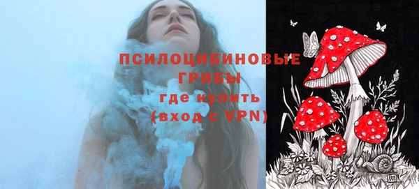 стафф Алексин