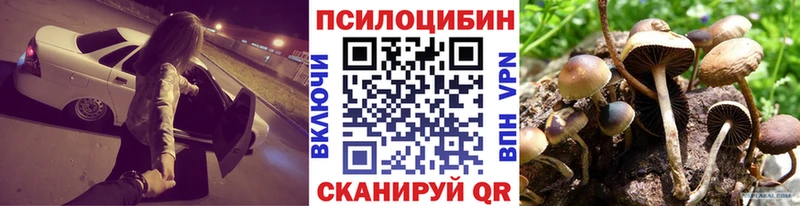 Галлюциногенные грибы Cubensis  Асино 