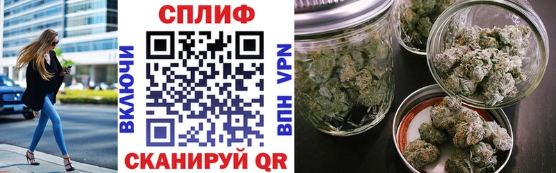 как найти закладки  Асино  Конопля план 